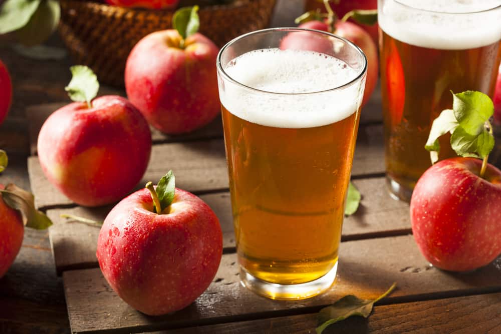 Hard Apple Cider Ale