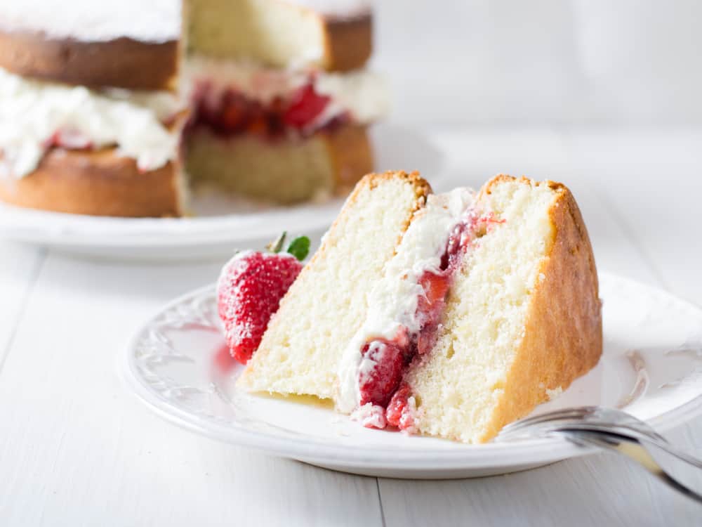 English Victoria Sponge coat