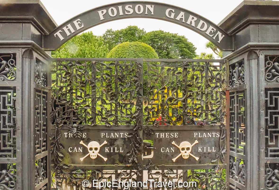 The poison garden at Alnwick Castle in Northumberland