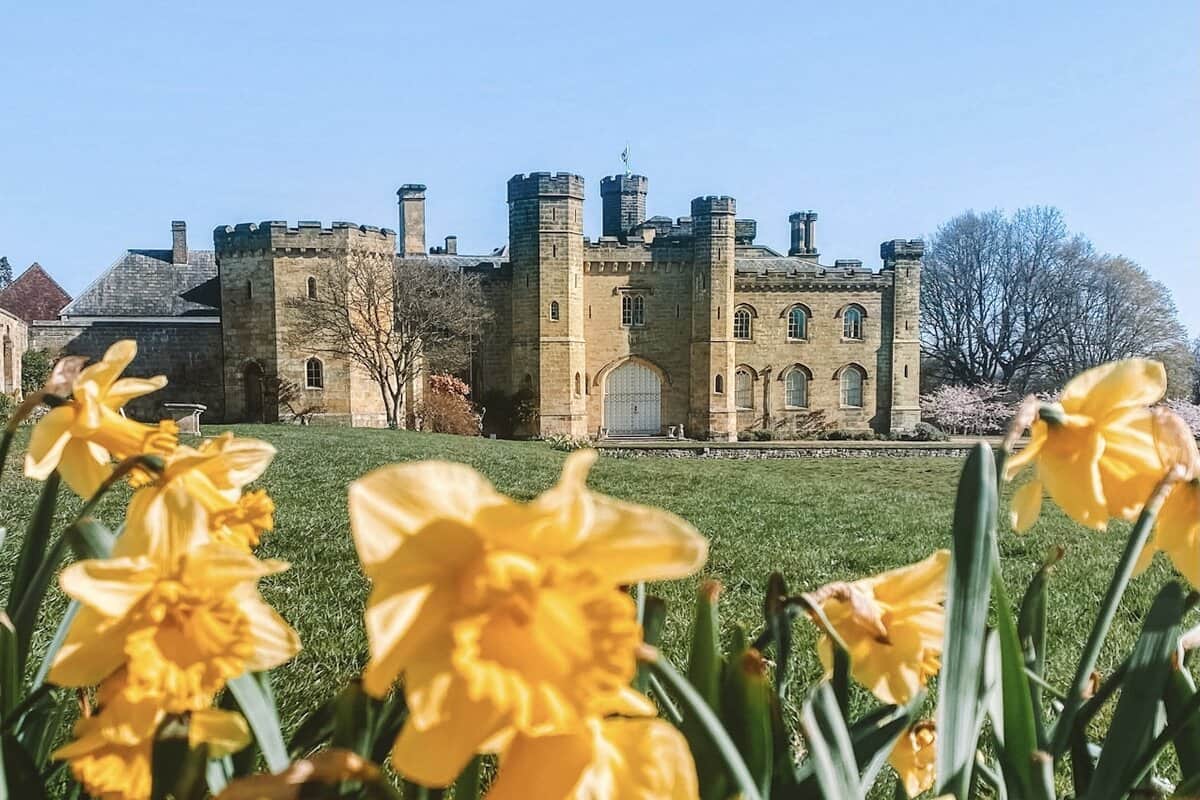 chiddingstone Castle with daffodils in front